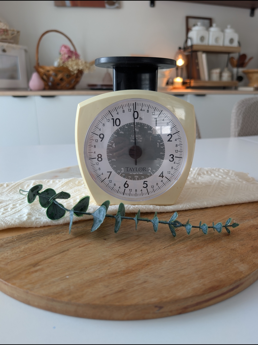 Taylor Cream Kitchen Scale with Black Dial